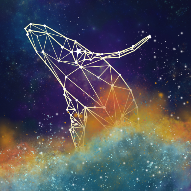 A galaxy background with a white outline of a creature in front of it created by Dracnic.